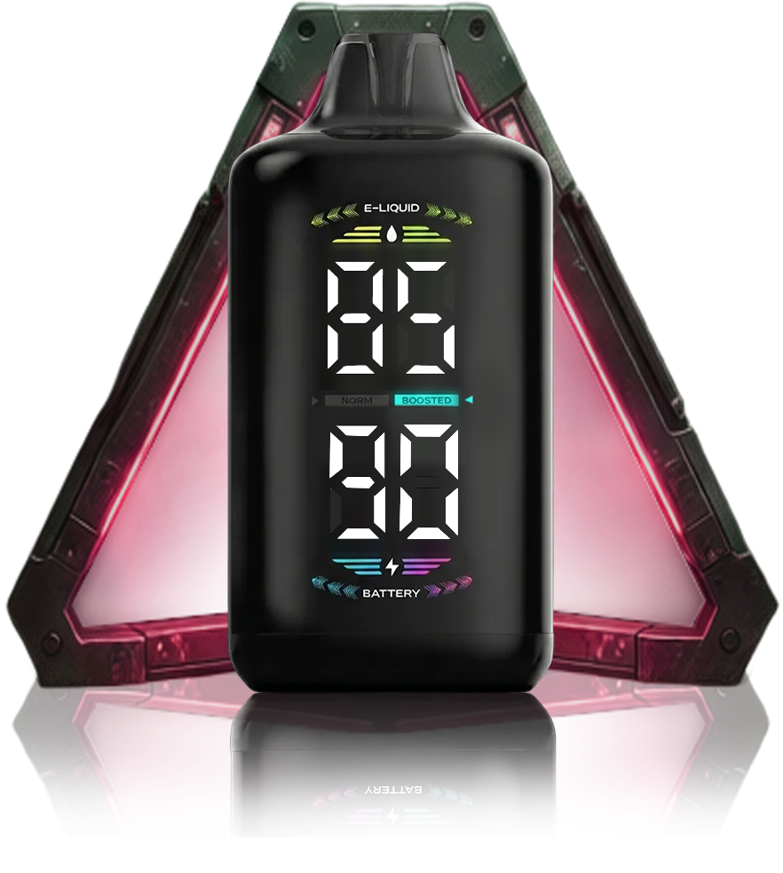 OLED DISPLAY
