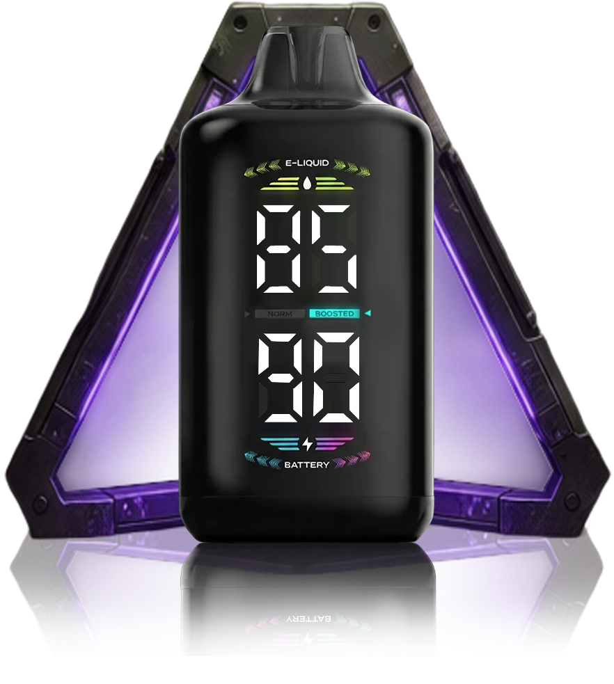 OLED DISPLAY