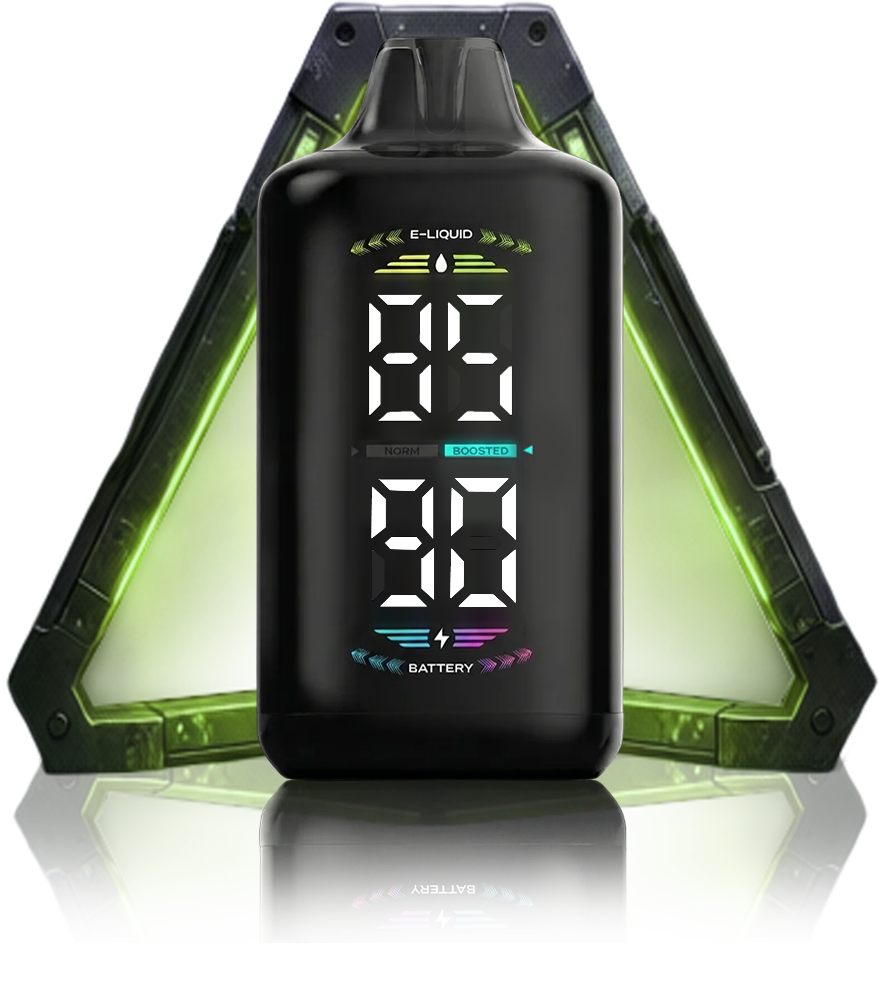 OLED DISPLAY