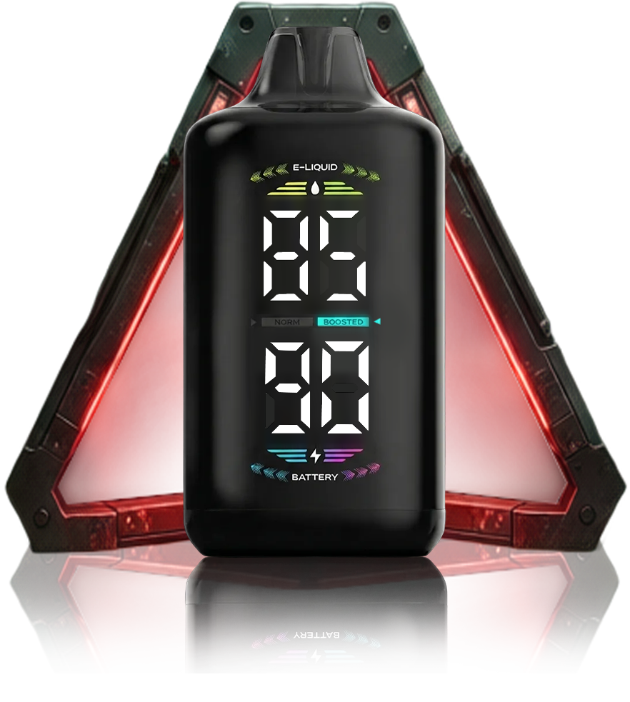 OLED DISPLAY
