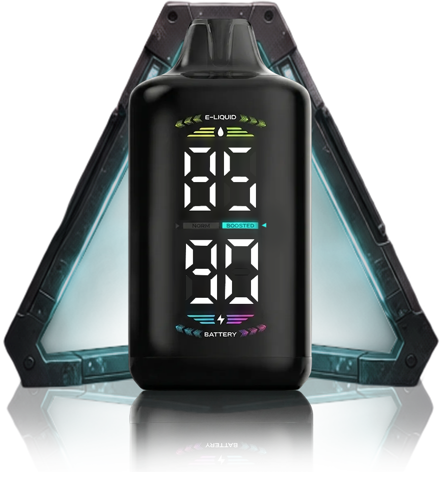 OLED DISPLAY