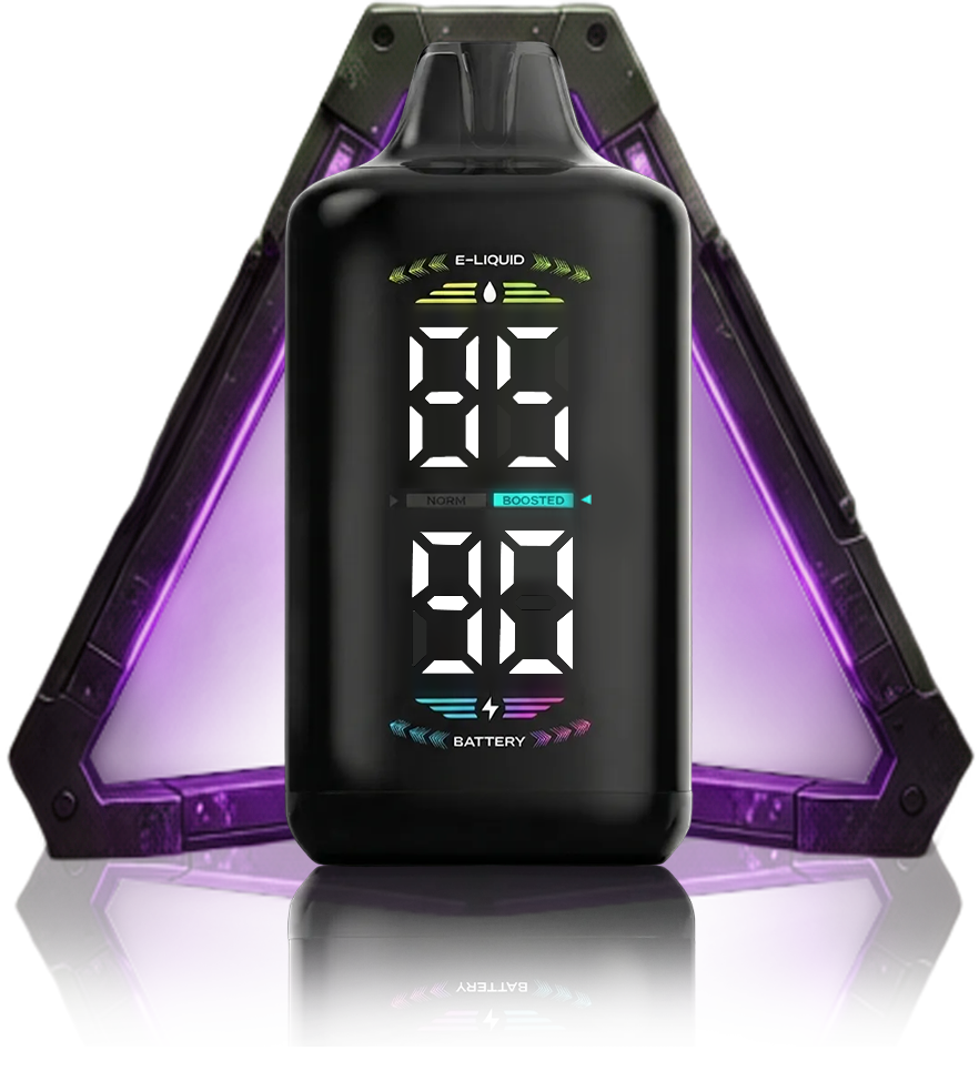 OLED DISPLAY