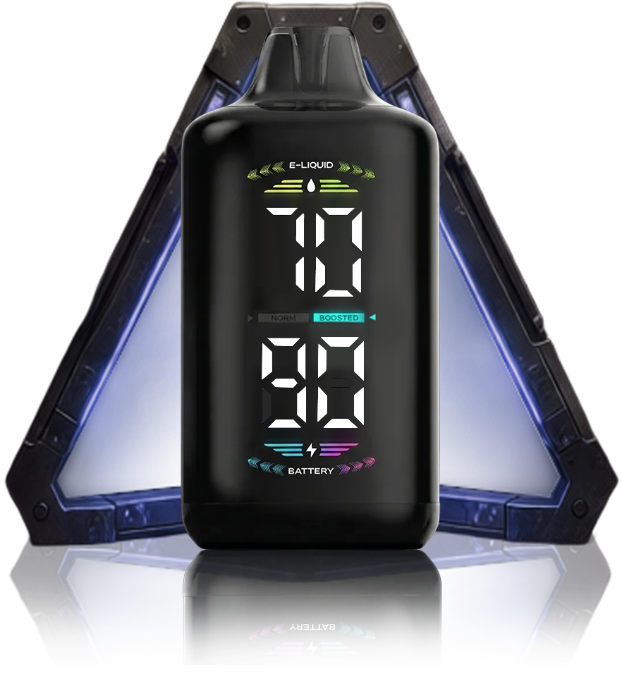 OLED DISPLAY