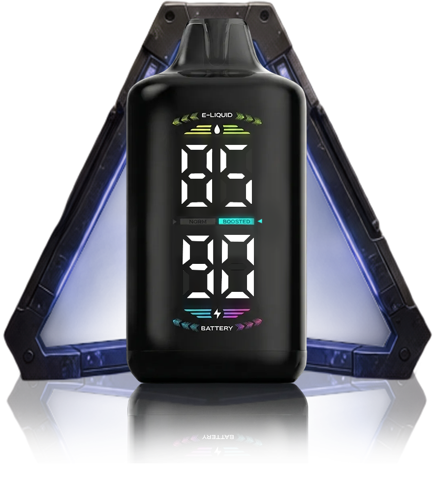 OLED DISPLAY