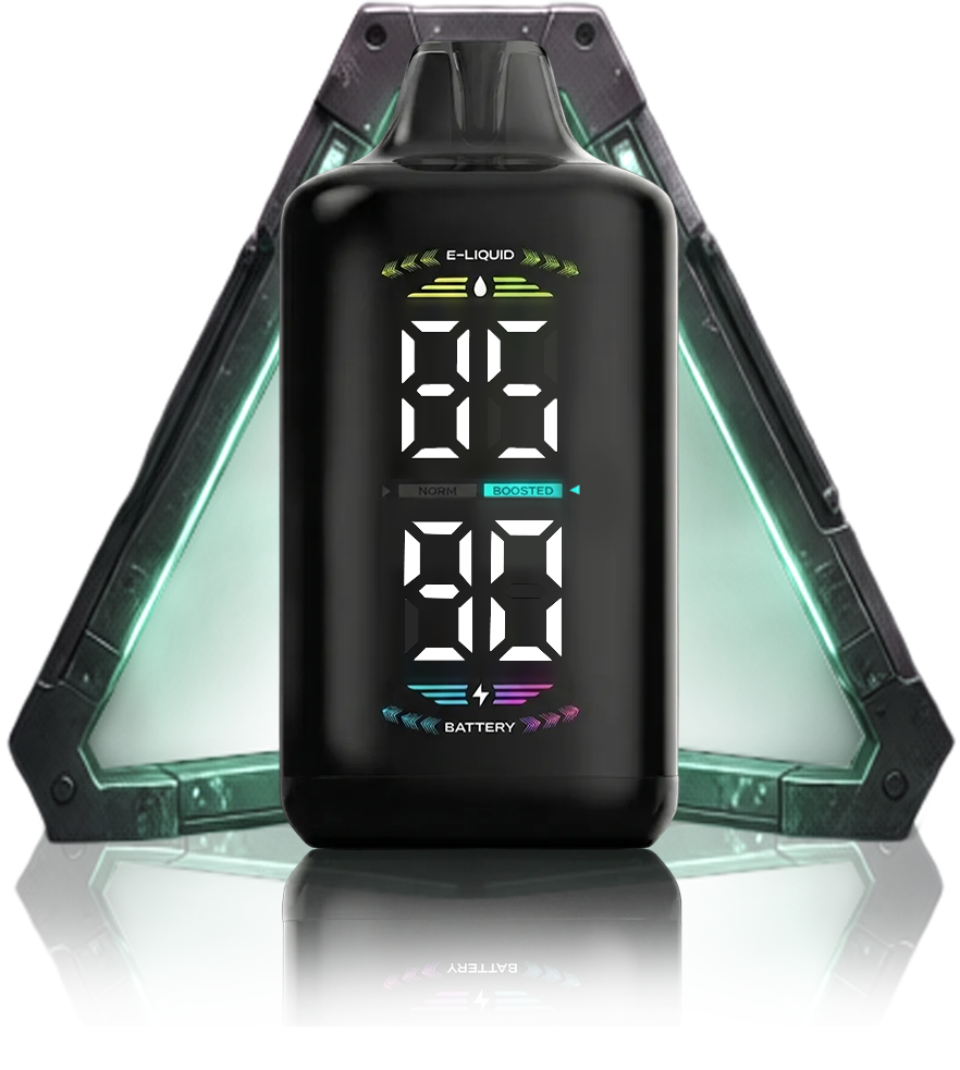 OLED DISPLAY