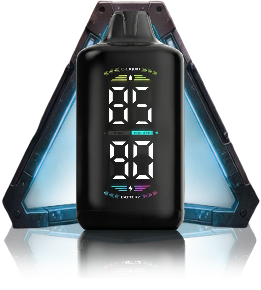 OLED DISPLAY