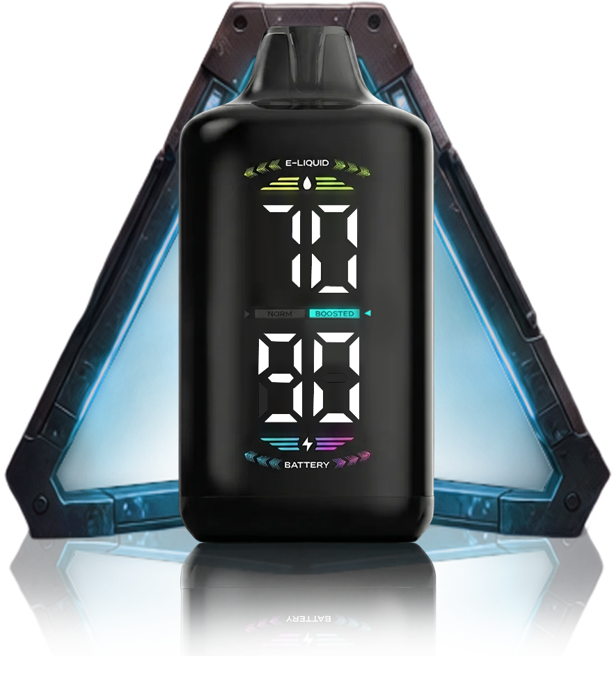 OLED DISPLAY