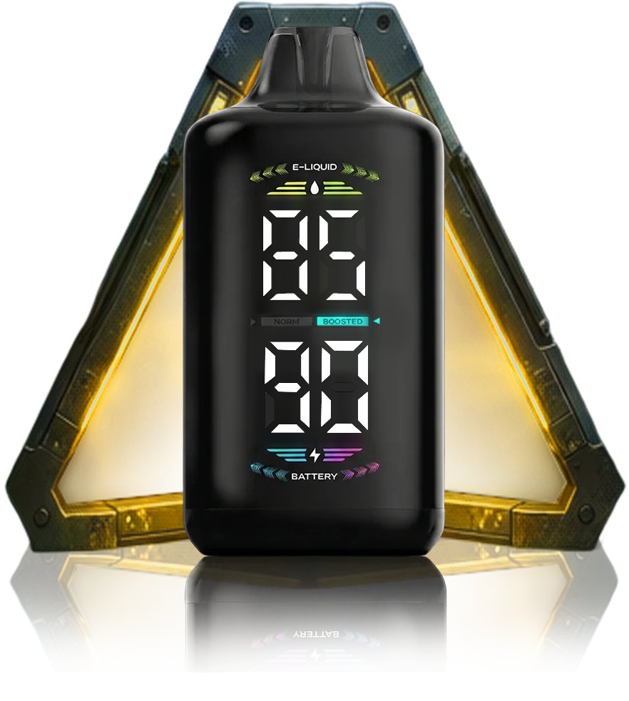 OLED DISPLAY