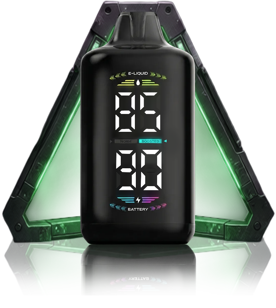 OLED DISPLAY