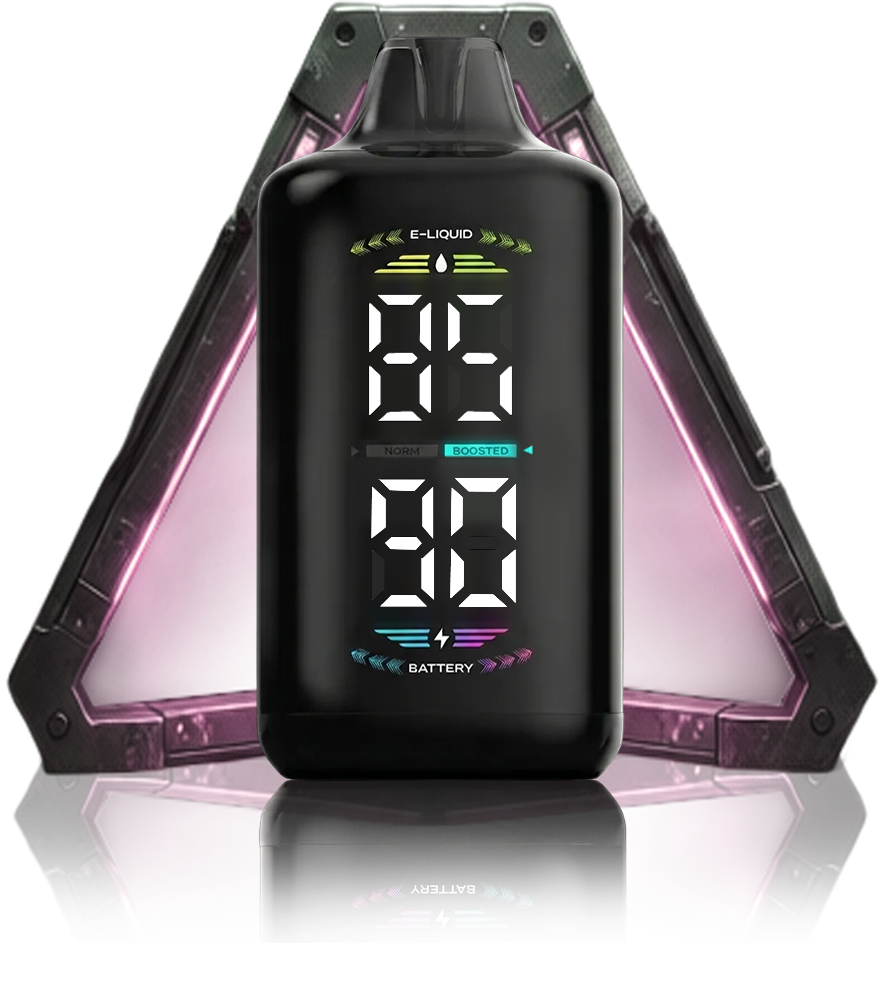 OLED DISPLAY