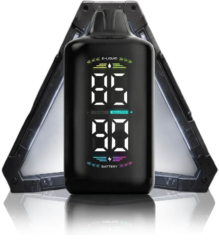 OLED DISPLAY