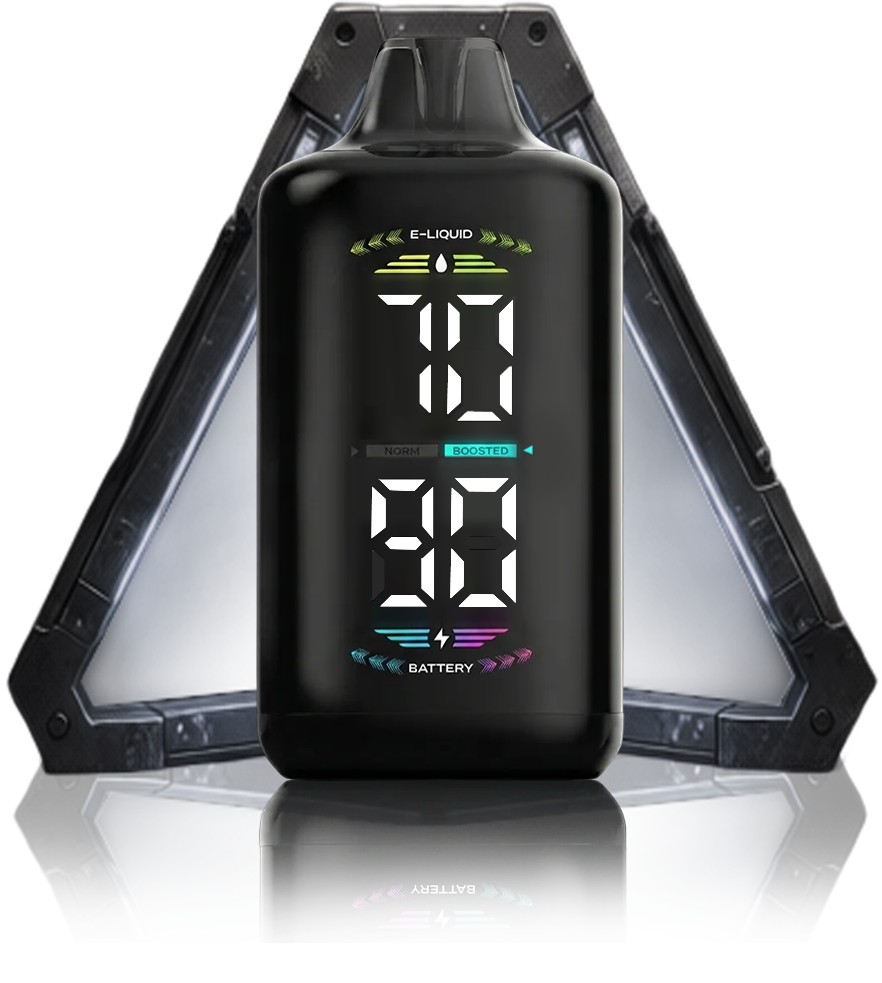 OLED DISPLAY