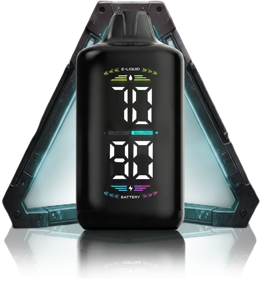 OLED DISPLAY